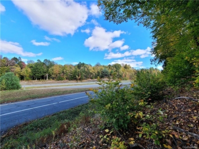 catskill regional medical center monticello ny