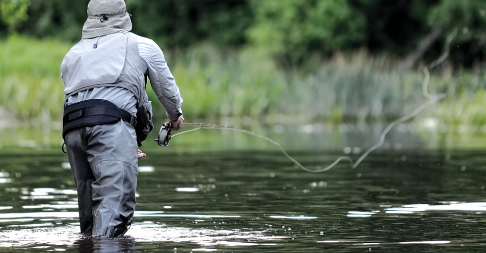 Fly fisherman