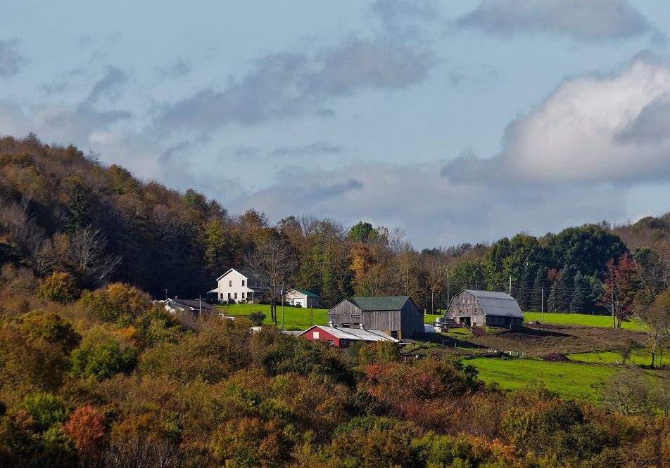 HV Farms
